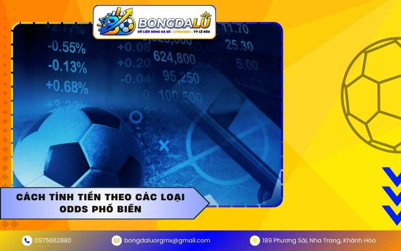Cách tính tiền theo các loại Odds phổ biến