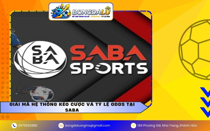Giải mã hệ thống kèo cược và tỷ lệ Odds tại Saba